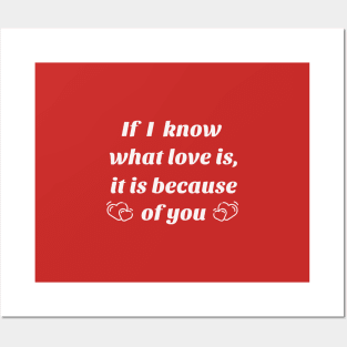 If I know what love is, it is because of you Posters and Art